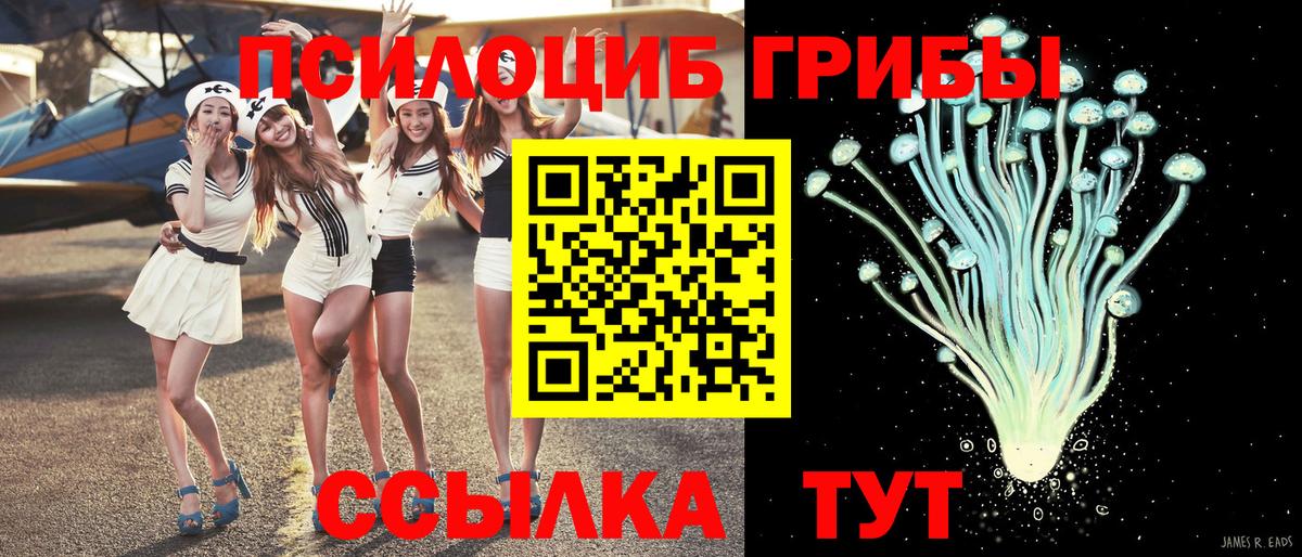 Галлюциногенные грибы мухоморы Саранск