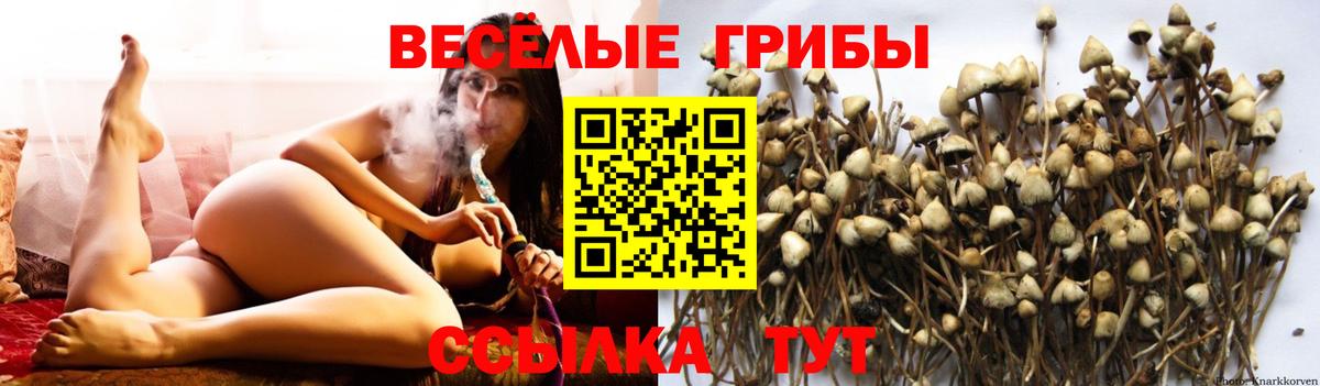Саранск  Псилоцибиновые грибы Magic Shrooms  Вход с VPN 